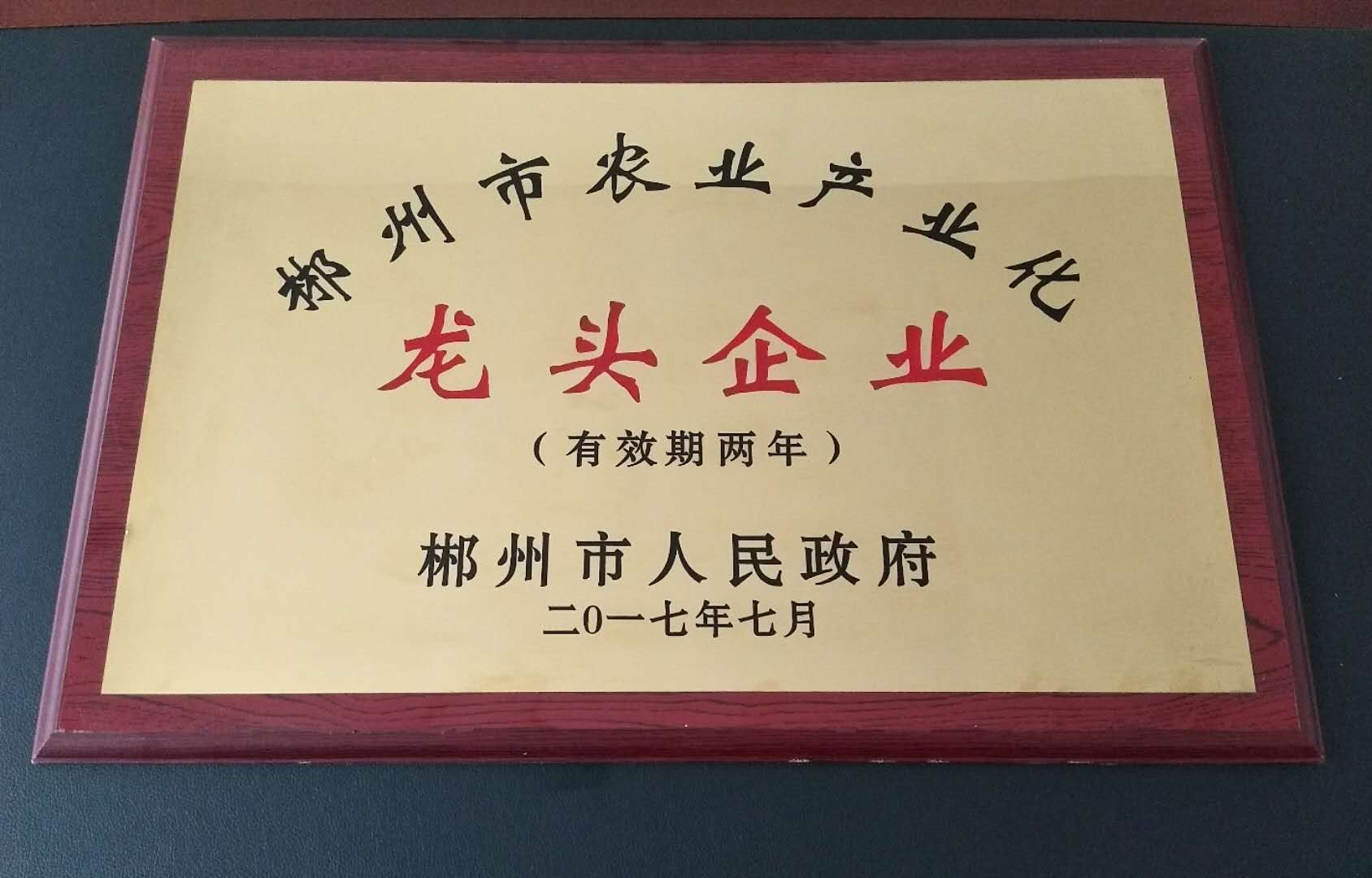 龍頭企業(yè)